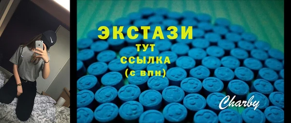 тгк Бородино
