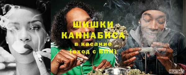 тгк Бородино