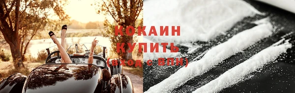 тгк Бородино