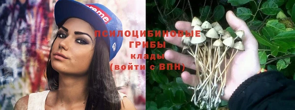 2c-b Бронницы