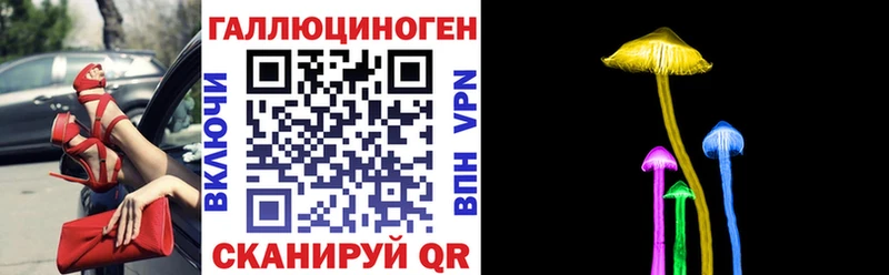 Псилоцибиновые грибы GOLDEN TEACHER  где найти наркотики  Кашира 